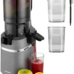 Concept LO7120 JUICY 250 W